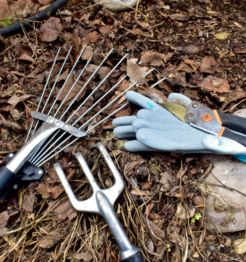 landscape-cleanup-tools