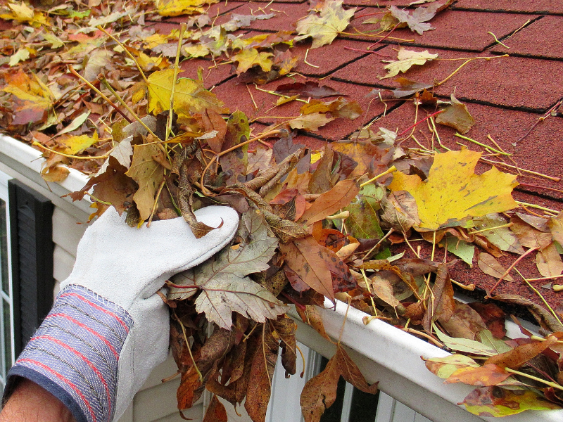 fall-leaf-cleanup